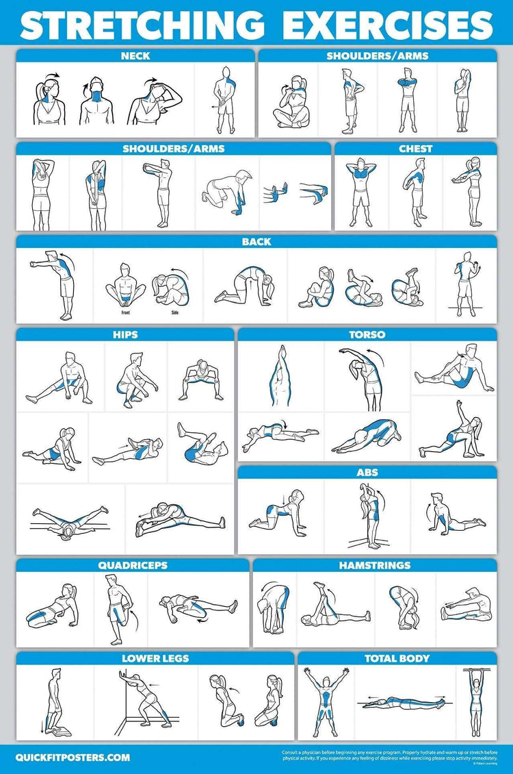 Chart of full body stretching exercises with illustrated poses for neck, shoulders, arms, chest, back, hips, torso, abs, quadriceps, hamstrings, lower legs.