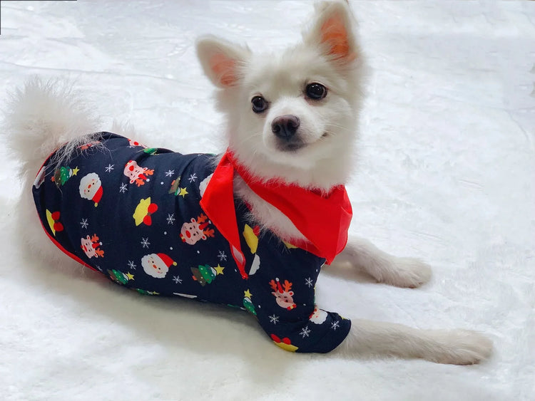 Small dog wearing a festive black Christmas print onesie with red trim and scarf on white blanket