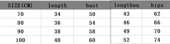 Size chart for clothing showing length, bust, hips, and extended length in centimeters for sizes 70 to 100.