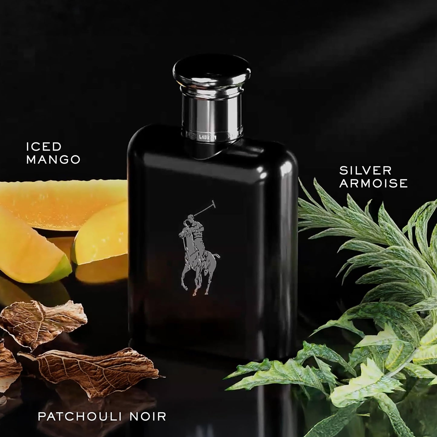RALPH LAUREN FRAGRANCES Polo Black - Eau de Toilette - Men's Cologne - Woody & Fresh - With Patchouli, Sandalwood, and Mandarin - Medium Intensity - 4.2 Fl Oz