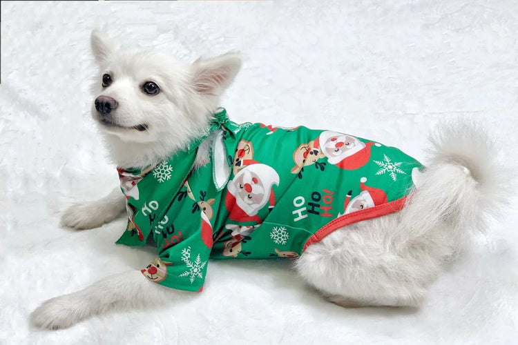 White dog wearing green Christmas-themed pajamas with Santa and snowflake print, relaxed fit