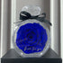 Vibrant blue preserved rose in a round clear display case with black ribbon, elegant gift decor.