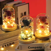 Decorative glass domes with plush bear figurines, artificial flowers, and warm LED lights