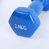 Blue hexagonal dumbbell, glossy finish, 2.0kg weight, compact fitness accessory