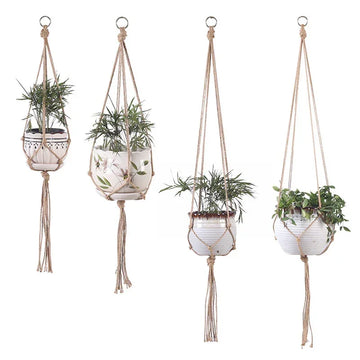 Assorted beige macrame plant hangers with ceramic pots and green houseplants