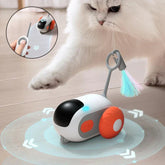 White fluffy cat playing with a robotic interactive cat toy on light wood floor