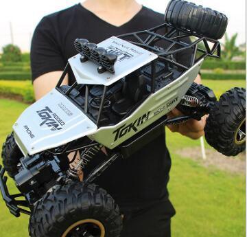 Person wearing a black short sleeve tee holding a white and black off-road RC car outdoors
