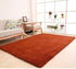 Cozy rust-colored rectangular area rug with plush texture in modern living room setting