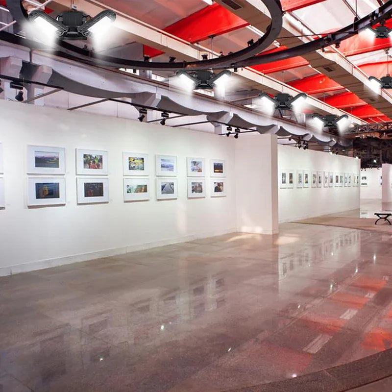 Modern art gallery with white walls, polished floor, and framed photographs on display