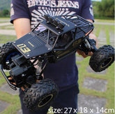 Person holding a large black RC off-road car with rugged tires and metal frame, outdoors.
