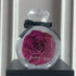 Deep red rose in a clear round case with ribbon, elegant preserved flower decor