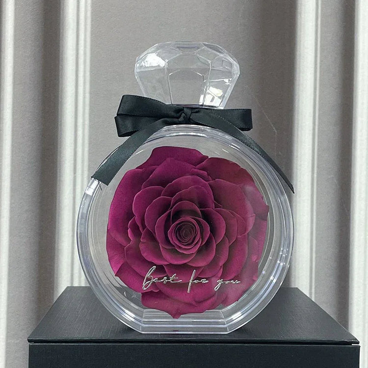 Deep red rose in a clear round case with ribbon, elegant preserved flower decor