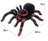 Black and orange plush spider toy with striped legs, soft fuzzy material, realistic design, dimensions shown.