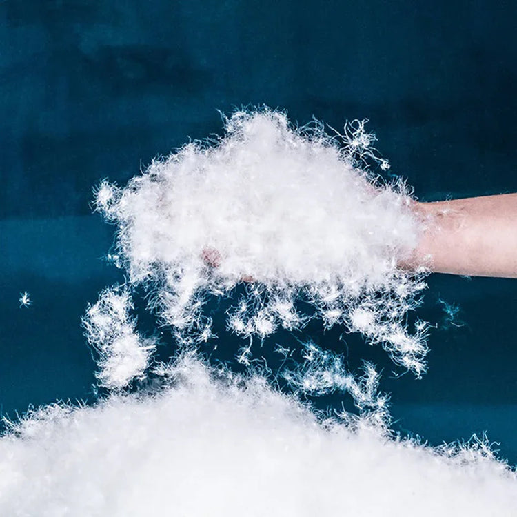 Hand holding soft white down filling material for puffer jackets against blue background