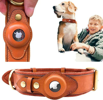 Brown leather dog collar with metal buckle and secure holder, fits snugly on medium dog