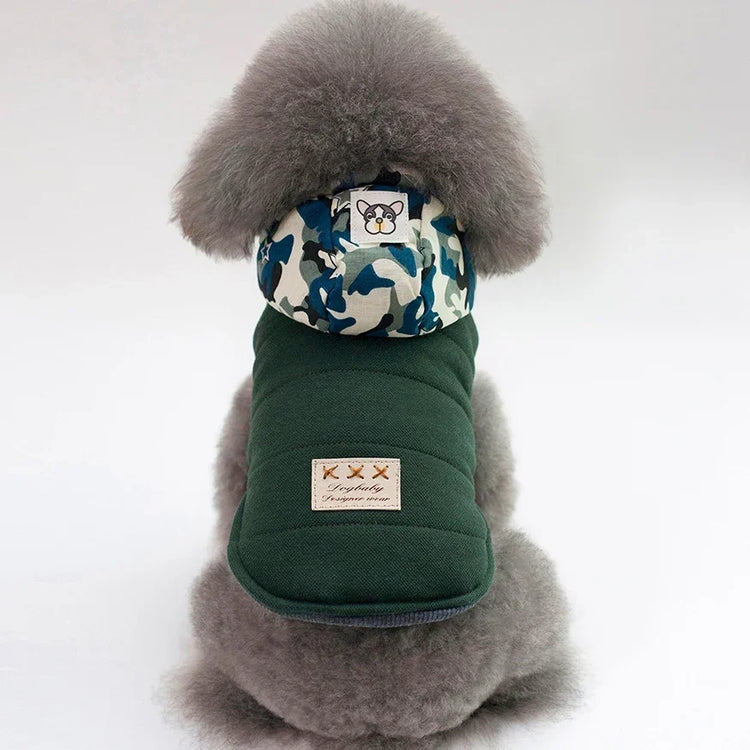 Gray poodle wearing a dark green padded dog jacket with a blue camo hood and patch detail