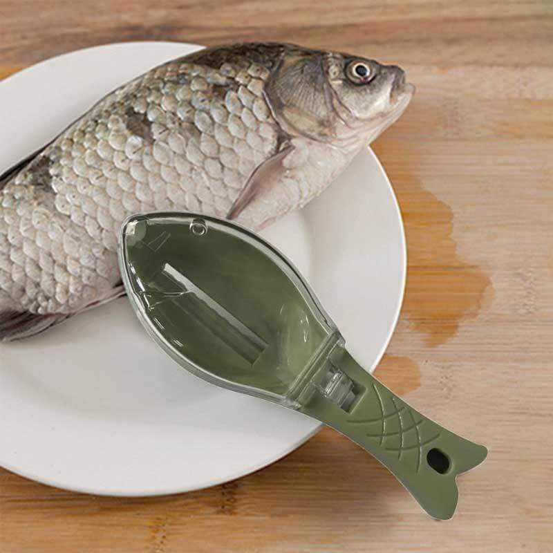 Fish scale scraper tool with green plastic handle next to whole fish on white plate