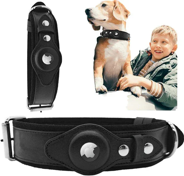 Black leather dog collar with metal buckle and tech accessory holder, comfortable fit.