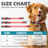 Dog wearing adjustable red nylon collar, size chart with small, medium, large options displayed.