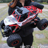 Person wearing a black zip-up jacket holding a large off-road RC car outdoors.