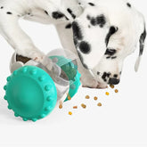 Dalmatian puppy playing with teal interactive treat dispenser toy, pet enrichment