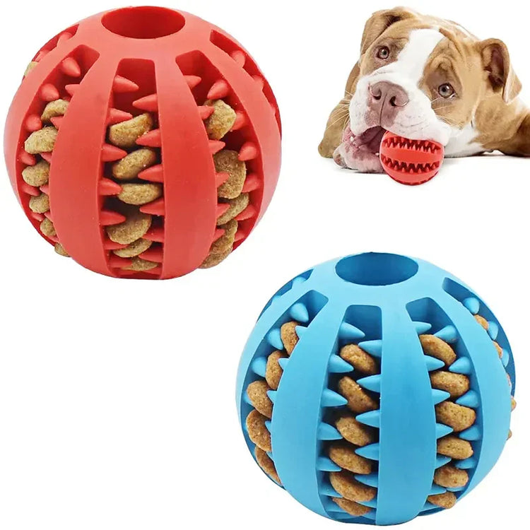 Red and blue rubber dog treat balls with textured surfaces, one held by a brown and white dog