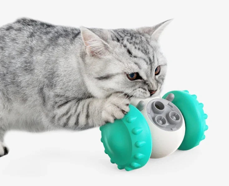 Gray tabby cat playing with a turquoise and white interactive rolling toy on white background