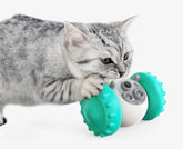 Gray tabby cat playing with a turquoise and white interactive rolling toy on white background