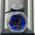 Galaxy blue and purple rose in clear round box with ribbon, futuristic gift decor
