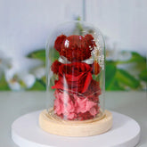 Red preserved rose teddy bear with pink petals in a glass dome on wooden base, decorative gift