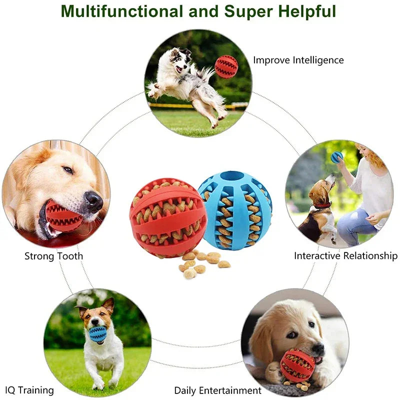 Red and blue rubber dog chew balls filled with treats, shown with dogs playing and chewing for strong teeth and interactive play.