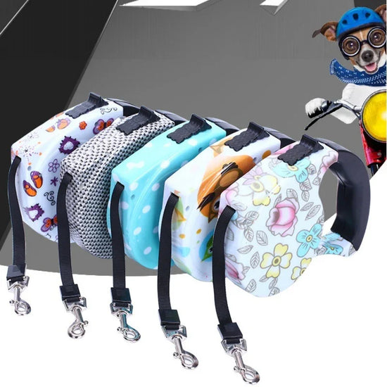 Colorful retractable dog leashes with floral, animal, and polka dot patterns, plastic handles