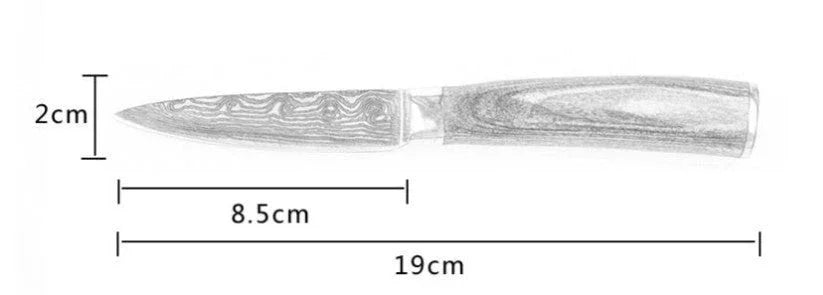 Stainless steel paring knife with wood handle, 19cm total length, 8.5cm blade.