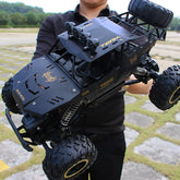 Person wearing a black long sleeve shirt holding a large black off-road RC car outdoors.