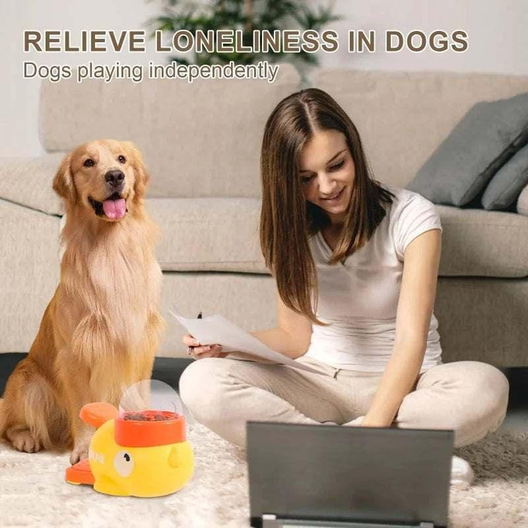 Woman in casual beige loungewear sitting on carpet, next to golden retriever and yellow dog toy