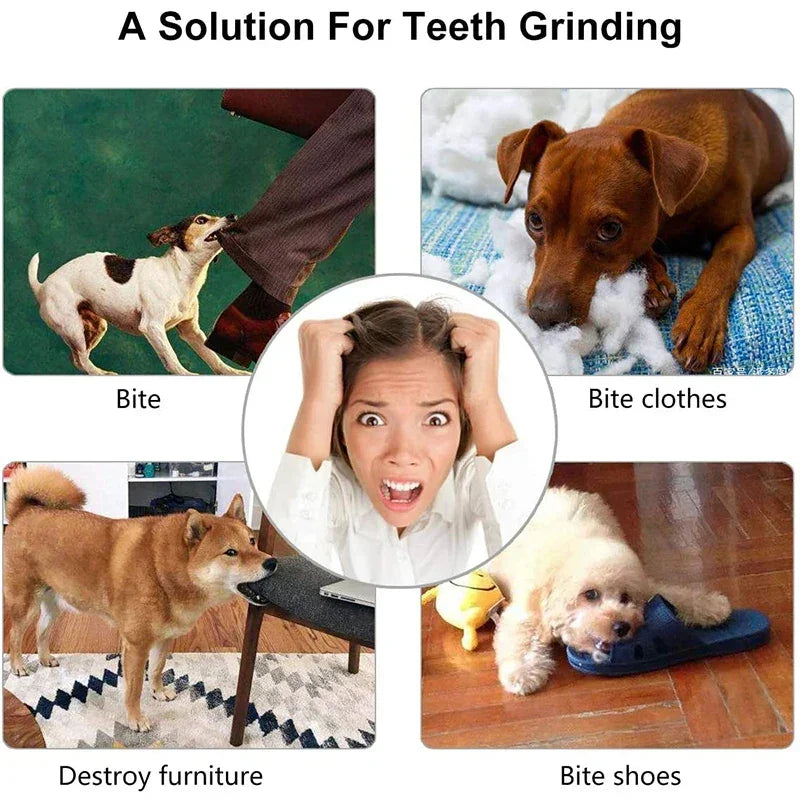 Collage showing dogs biting clothes, shoes, furniture, and a person&