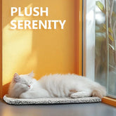 Fluffy white cat sleeping on a soft, textured mat by a window with sunlit orange wall.