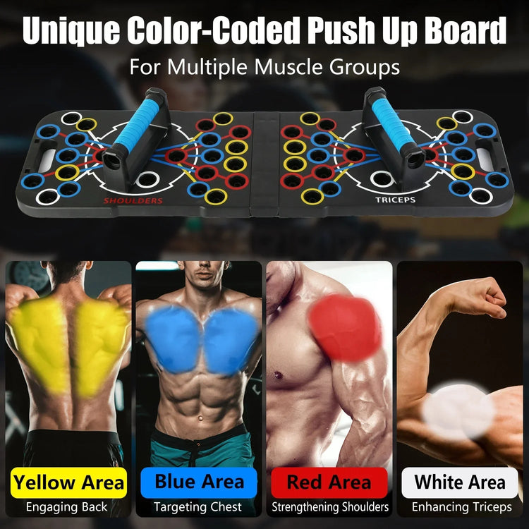 Color-coded push up board with blue, yellow, red, and white zones for targeted muscle workouts.