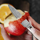 Hand using a patterned stainless steel knife to peel a red apple