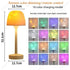 Modern table lamp with 16 color dimming, remote control, compact size, acrylic shade.