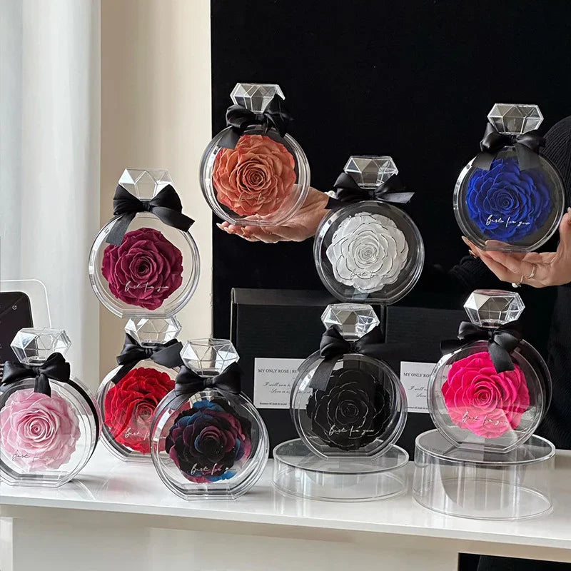 Assorted preserved roses in clear round display cases with black ribbon, multiple colors shown