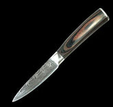 Damascus steel paring knife with a wood grain handle on a black background
