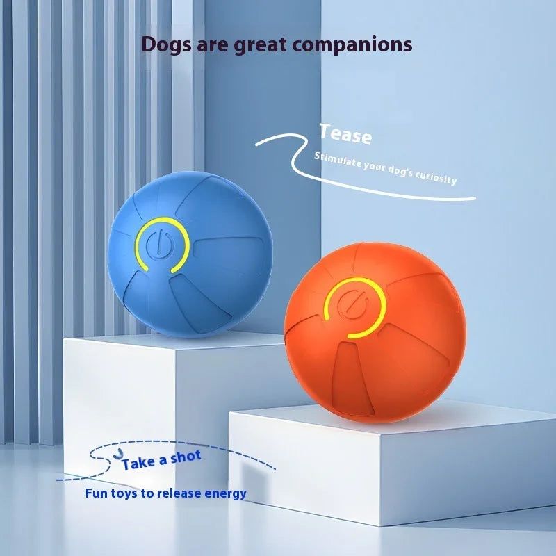 Blue and orange interactive rubber dog toy balls with textured surface, displayed indoors.