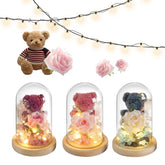 Plush teddy bear in striped sweater, glass dome lights with roses and bears, fairy string lights