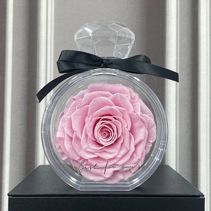 Large pink artificial rose in a clear round display case with black ribbon, romantic gift decor
