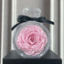 Large pink artificial rose in a clear round display case with black ribbon, romantic gift decor