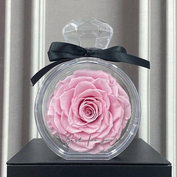 Large pink artificial rose in a clear round display case with black ribbon, romantic gift decor