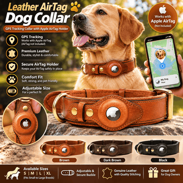 Leather AirTag dog collar in brown with gold hardware, featuring Apple AirTag holder, suitable for small to XL dogs, stylish and adjustable