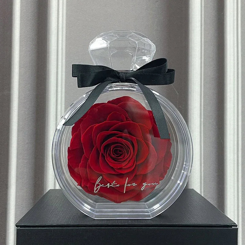 Large red rose in clear round acrylic display case with black ribbon, gift decor