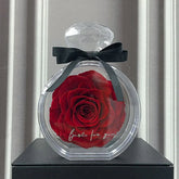 Large red rose in clear round acrylic display case with black ribbon, gift decor